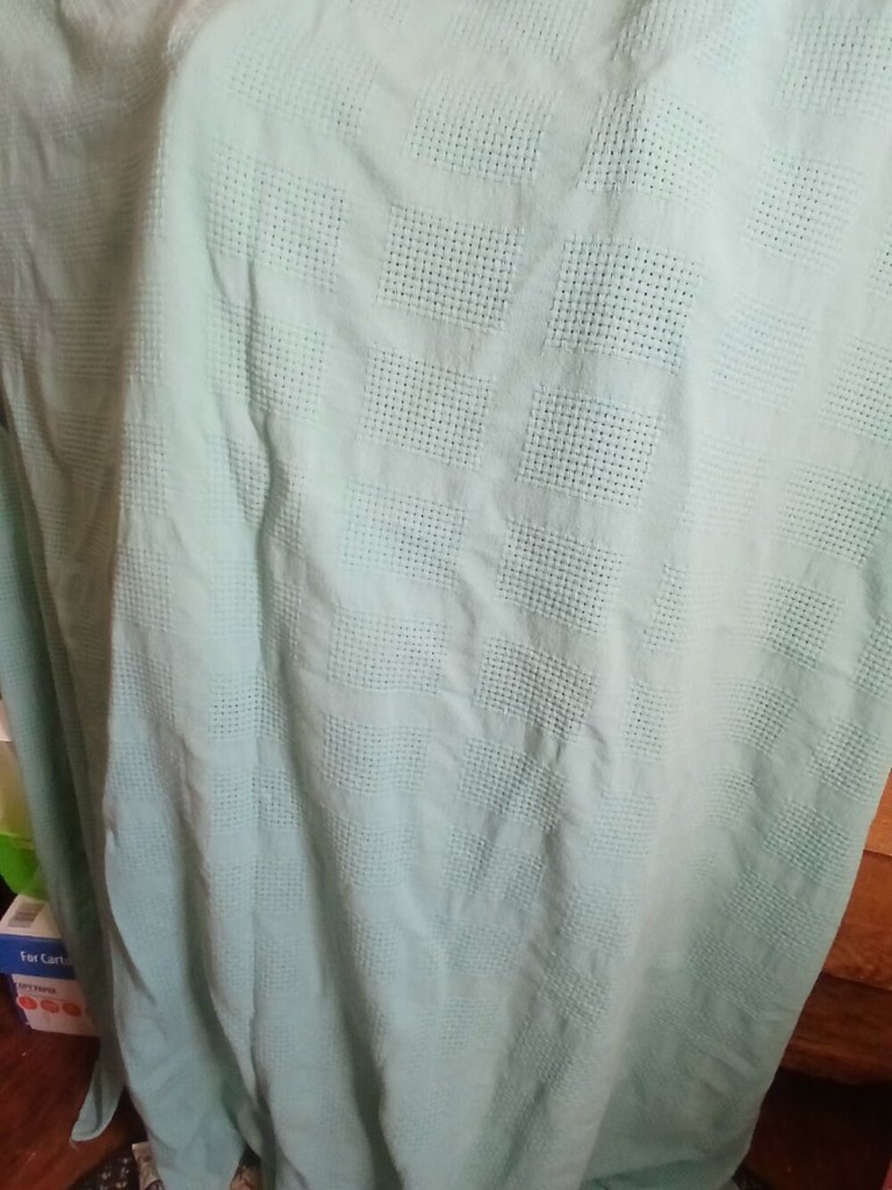 LLBean Sage Blanket-Size Full/Queen